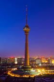 tkf001_298561