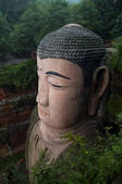 tkf001_310663
