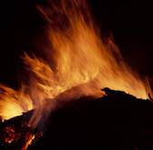 tkf001_755666