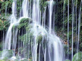 tkf001_805069