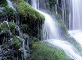 tkf001_805095