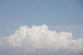 tkf001_805534