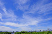 tkf001_813106