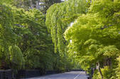 tkf003_106544