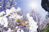 tkf003_261386