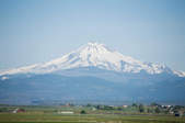 tkf003_393182