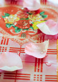 tkf003_430247