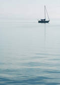 tkf003_441393