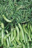 tkf003_441460