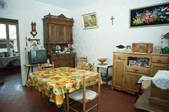tkf003_447169