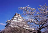 tkf003_543235