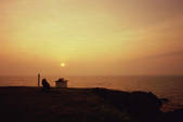 tkf003_546222