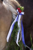 tkf003_580014