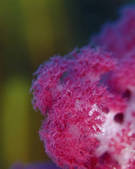 tkm001_542563