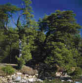 tkm001_781951
