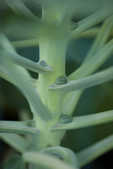 tkm001_810260