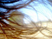 tkm001_881145