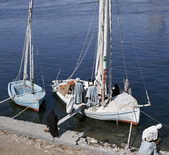 tkm003_198628