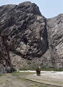 tkm003_200066