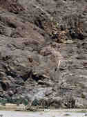 tkm003_200067