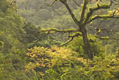 tkm003_205188
