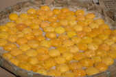 tkm003_208994