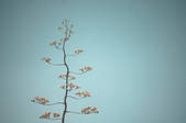 tkm003_543455