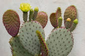 tkm003_552811