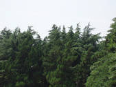 tkf002_104486