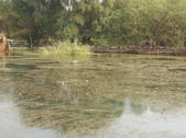 tkf002_104851