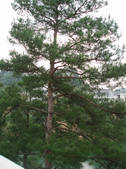 tkf002_105442