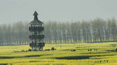 tkf002_111862