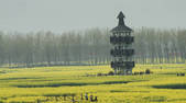 tkf002_111863