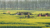 tkf002_111864