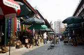 tkf005_2306789