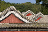 tkf005_2308938