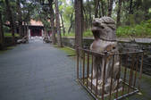 tkf005_2309789
