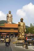 tkf005_2310054