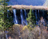 tkf005_2316298