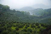 tkf005_2322714