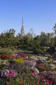 tkf005_2349489