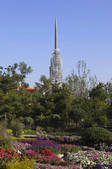 tkf005_2349490