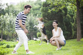 tkf005_300199