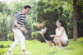 tkf005_300202