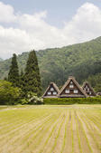 tkf005_302107