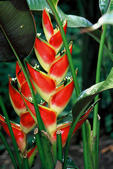 tkm005_105475